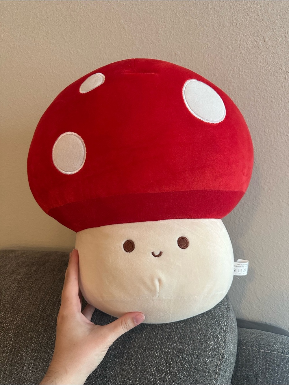 Mushroom plushy